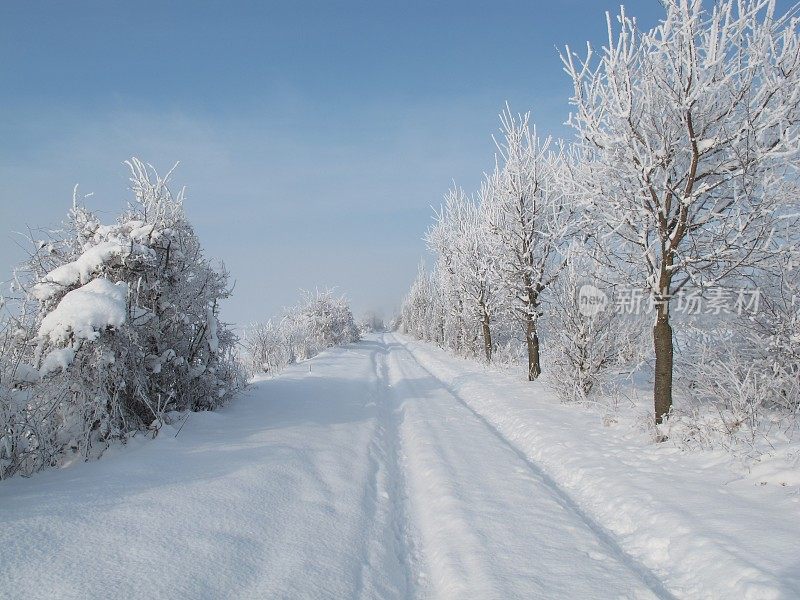 冬季景观在Neufeld an der Leitha, Burgenland，奥地利，欧洲